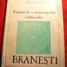 R.si V.Enachescu -Monografie Branesti judet Dambovita 1920-1970 , ilustratii