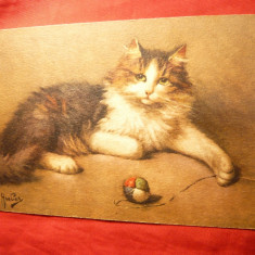 Ilustrata - Pisica cu jucarie-ghem -Elvetia inc.sec.XX