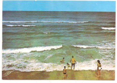 % carte postala (ilustrata)-MAREA NEAGRA foto