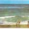 % carte postala (ilustrata)-MAREA NEAGRA