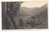 % foto-BISTRITA NASAUD-Satul Lesu-Vedere pe Valea Lesciorului ffff rara -, Necirculata, Fotografie