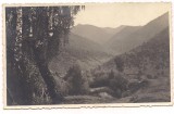 % foto-BISTRITA NASAUD-Satul Lesu-Vedere pe Valea Lesciorului ffff rara -