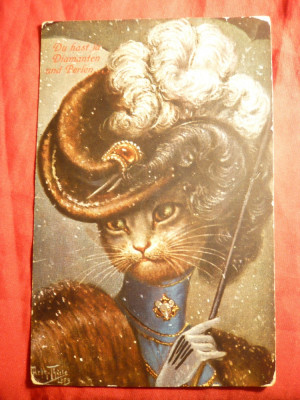 Ilustrata- Pisica cocheta- personalizata 1919 , color , semnata foto