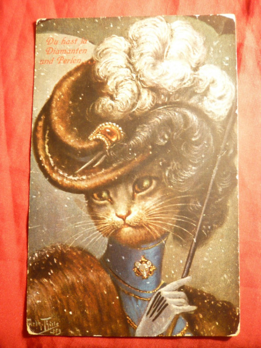 Ilustrata- Pisica cocheta- personalizata 1919 , color , semnata