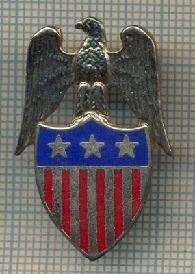 987 NEW INSIGNA -MILITARA? -STATELE UNITE ALE AMERICII -starea care se vede foto