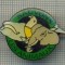 976 NEW INSIGNA-SAUVONS LES ANIMAUX-SALVATI ANIMALELE-FRANTA-starea care se vede