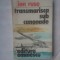 ION RUSE - TRANSMARISCA SUB CANONADE