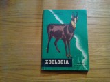 ZOOLOGIA - Manual cl. a IX -a - C. Bogoescu - 1957, 248 p.+ VIII planse color, Alta editura, Clasa 8, Stiintele Naturii