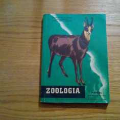 ZOOLOGIA * Manual cl. a IX -a - C. Bogoescu - 1957, 248 p.+ VIII planse color