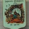 970 NEW INSIGNA - POMPIERI -SAPEURS POMPIERS HESSE - FRANTA -starea care se vede