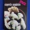 DR. N. MATEESCU - CIUPERCILE SAMPINION ( SERIA FERMA ) - 1994 *