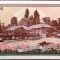 Bancnota 100 WON - COREEA de NORD, anul 1978 * Cod 813 = UNC