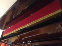 Pianina tbeplia foto