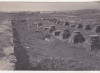 Bnk cp Adamclisi - Ruinele unui templu - circulata, Printata