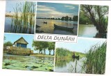 % carte postala (ilustrata)-DELTA DUNARII -colaj, Circulata, Printata