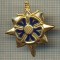 1022 NEW INSIGNA - MILITARA - CERCETARE, INFORMATII -starea care se vede