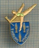 1033 NEW INSIGNA - SPORTIVA -TWIRLING D&#039;OSTWALD-GIMNASTICA -starea care se vede