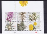 Flora ,Madeira.