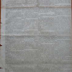 Ziarul Albina , nr. 19 , 1871 , Budapesta , in limba romana , Director V. Babes