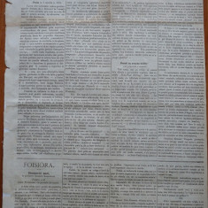 Ziarul Albina , nr. 17 , 1871 , Budapesta , in limba romana , Director V. Babes
