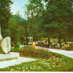 CPI (B6109) CARTE POSTALA - OLANESTI. VEDERE DIN PARC