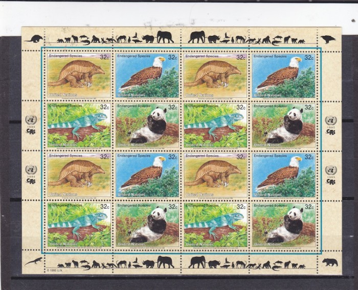 Fauna ,panda ,vultur ,ONU posta americana .