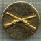 1025 NEW INSIGNA - MILITARA - INFANTERIE -PUSTI INCRUCISATE -starea care se vede
