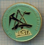 1054 NEW INSIGNA- NESTA -SPECIALISTI ACOPERISURI -FRANTA -starea care se vede