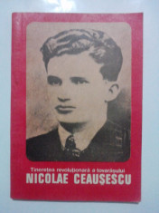 Tineretea revolutionara a tov. Nicolae Ceausescu / R7P4S foto