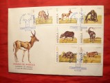 Plic FDC - Fauna din Angola 1980