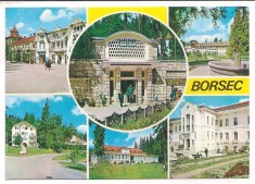 % carte postala (ilustrata)-BORSEC-colaj foto
