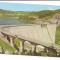 % carte postala (ilustrata)-BICAZ-Barajul hidrocentralei
