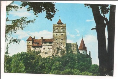 % carte postala (ilustrata)-BRAN-Cetatea foto