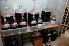 vin de casa Diosig si PALINCA de fructe ,Bihor foto
