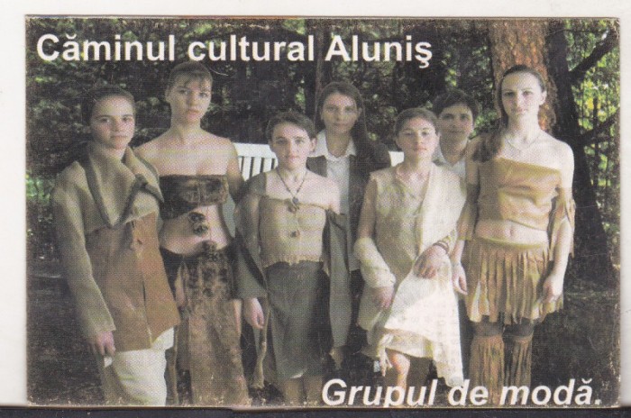 bnk cl Calendar de buzunar 2004 - Caminul cultural Alunis