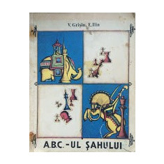 A.B.C.-UL SAHULUI - V. Grisin, E. Ilin