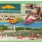CPI (B6160) CARTE POSTALA - MAMAIA