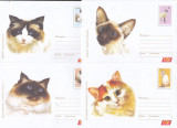 Bnk fil Romania Set 6 intreguri postale 2006 fauna - Pisici