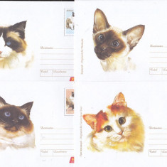 bnk fil Romania Set 6 intreguri postale 2006 fauna - Pisici