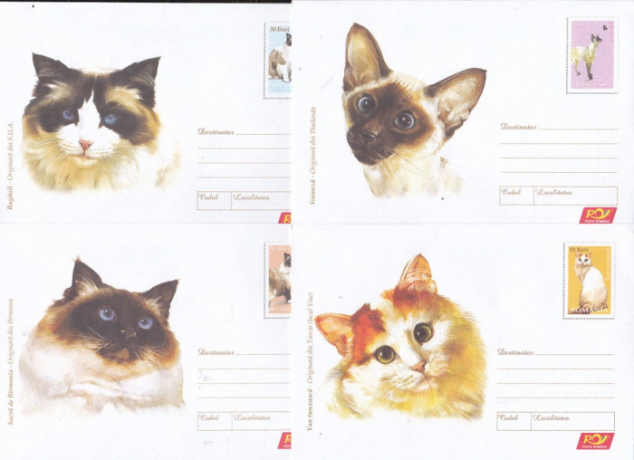 bnk fil Romania Set 6 intreguri postale 2006 fauna - Pisici