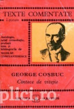 George Cosbuc - C&icirc;ntece de vitejie ( Colectia TEXTE COMENTATE )