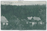 3373 - VLAHITA, Harghita - old postcard - used - 1911, Circulata, Printata
