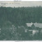 3373 - VLAHITA, Harghita - old postcard - used - 1911