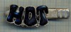 1304 NEW INSIGNA CU CLEMA - ARE INSCRIPTIA ,,H. O. T&quot; -starea care se vede