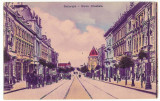 632 - BUCURESTI, Elisabeth Ave. carriages - old postcard - unused, Necirculata, Printata
