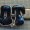 1324 NEW INSIGNA CU CLEMA - ARE INSCRIPTIA ,,H. O. T&quot; -starea care se vede