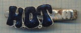 1329 NEW INSIGNA CU CLEMA - ARE INSCRIPTIA ,,H. O. T&quot; -starea care se vede