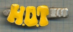 1319 NEW INSIGNA CU CLEMA - ARE INSCRIPTIA ,,H. O. T&quot; -starea care se vede