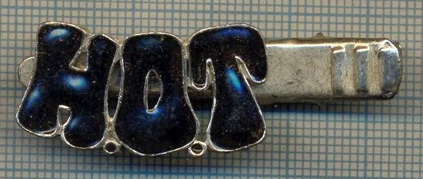 1348 NEW INSIGNA CU CLEMA - ARE INSCRIPTIA ,,H. O. T&quot; -starea care se vede
