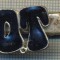1332 NEW INSIGNA CU CLEMA - ARE INSCRIPTIA ,,H. O. T&quot; -starea care se vede